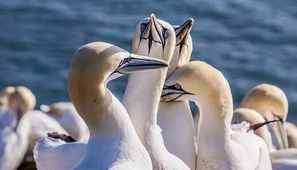 LOL-WTT重庆冠军赛：梁靖崑3-1逆转向鹏晋级16强